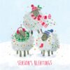 Three sheep dressed in woolly hats and scarves and draped with colourful fairy lights stand in a pyramid formation. Text reads Season's Bleatings.