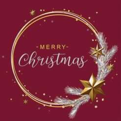 25cm Wishing Ring Berry-Coloured Napkin-0