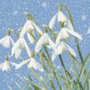 Snowdrops - NSPCC Charity Christmas Cards - Pack of 10-0