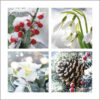 Snow Covered Foliage - Perennial Gardeners Royal Benevolent Society Charity Christmas Cards - Pack of 10-0