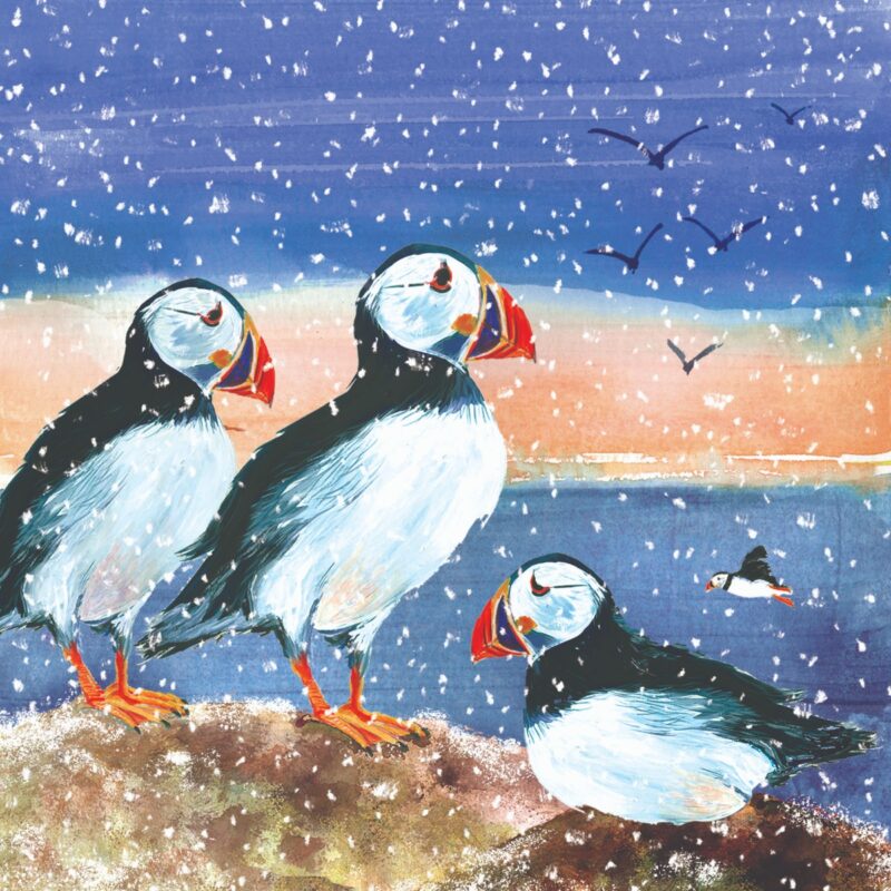 Charity Cards and Gifts