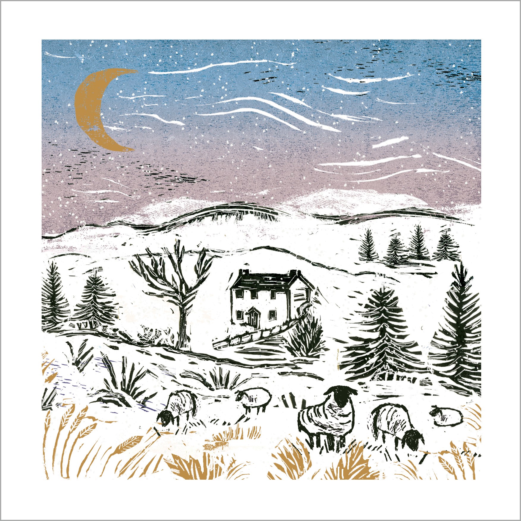 Sheep on the moonlit hill - Scope Charity Christmas Cards - Pack of 10-0