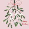 Mistletoe - Shelter Charity Christmas Cards - PAck of 10-0