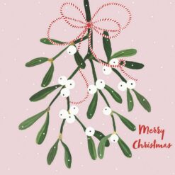 Mistletoe - Shelter Charity Christmas Cards - PAck of 10-0