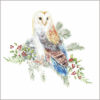 Barn Owl on the Branch - The Children's Society Charity Christmas Cards - Pack of 10-0