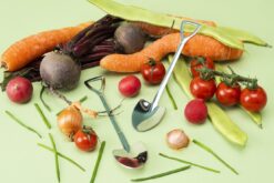 Potting Shed Set of Two Teaspoons-11340