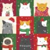 Christmas card featuring nine squares each containing a different cat dressed for the winter weather in hats, scarf, woolly jumpers or holding a gift. Each square is a different colour and the card is decorated with circles of snow.