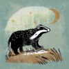Greeting card featuring a badger standing on a rock. A crescent moon and stars decorate the night sky.