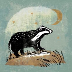 Greeting card featuring a badger standing on a rock. A crescent moon and stars decorate the night sky.