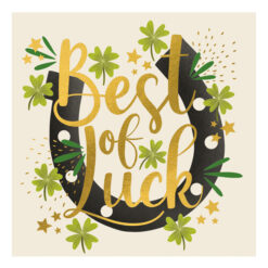Best of Luck Horseshoe Single Card-11539