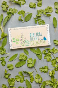 The Biblical Herbs Growbar-11455