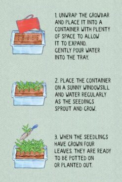 The Sunflower Growbar-11515