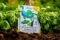 Image of a plantable book in the soil next to basil.