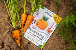 Plantable children's book called The Carrot who was too big for his bed. This book is made of plantable paper containing carrot seeds. Image of book next to some carrots in the soil.