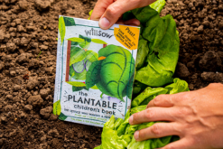 Plantable book called The Lettuce Who Wanted a New Look. Image of the book alongside some lettuces growing in the soil.