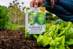 Plantable book called The Lettuce Who Wanted a New Look. Image of the book alongside some lettuces growing in the soil.
