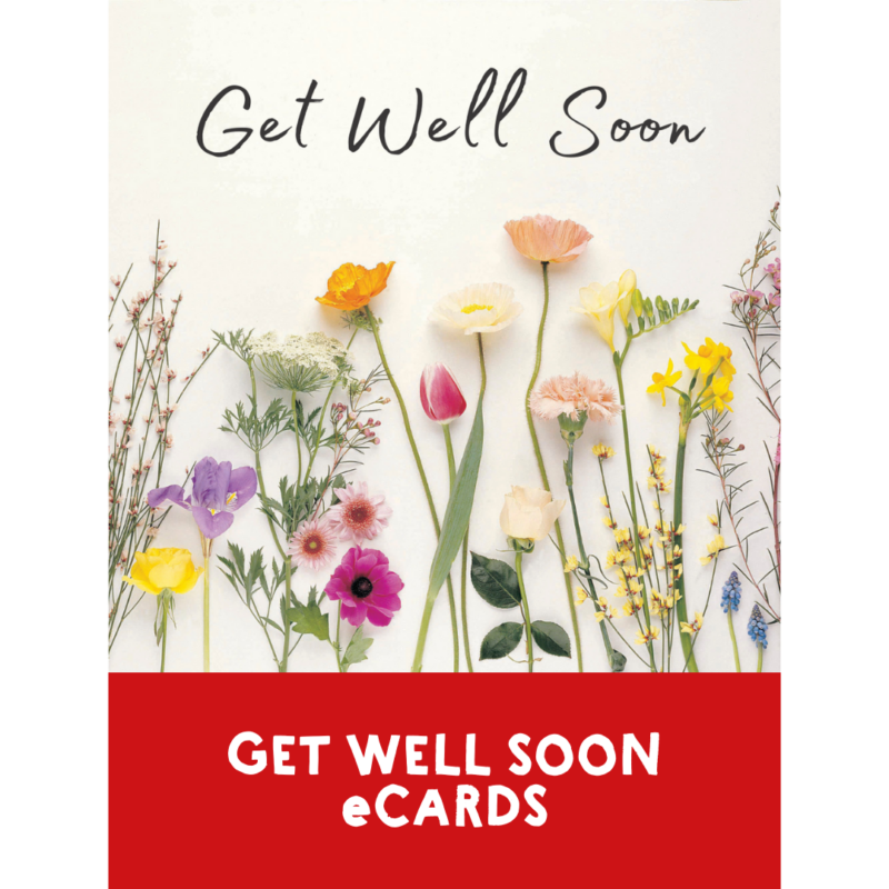 Charity Cards and Gifts