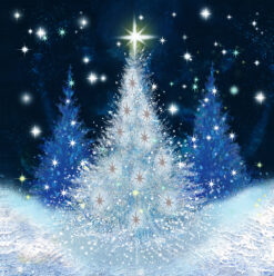 Christmas card featuring Christmas trees with twinkling lights. The sky is full of twinkling stars.