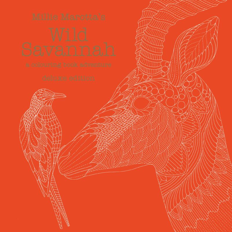 An orange colouring book containing illustrations from Millie Marottra's wild Savannah.