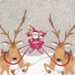 Flying Through The Air - Epilepsy Action Charity Christmas Cards - Pack of 10