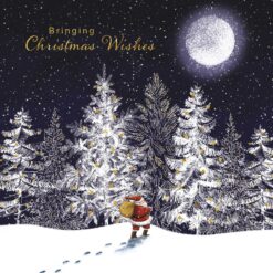 Bringing Christmas Wishes - National Autistic Society Charity Christmas Cards - Pack of 10