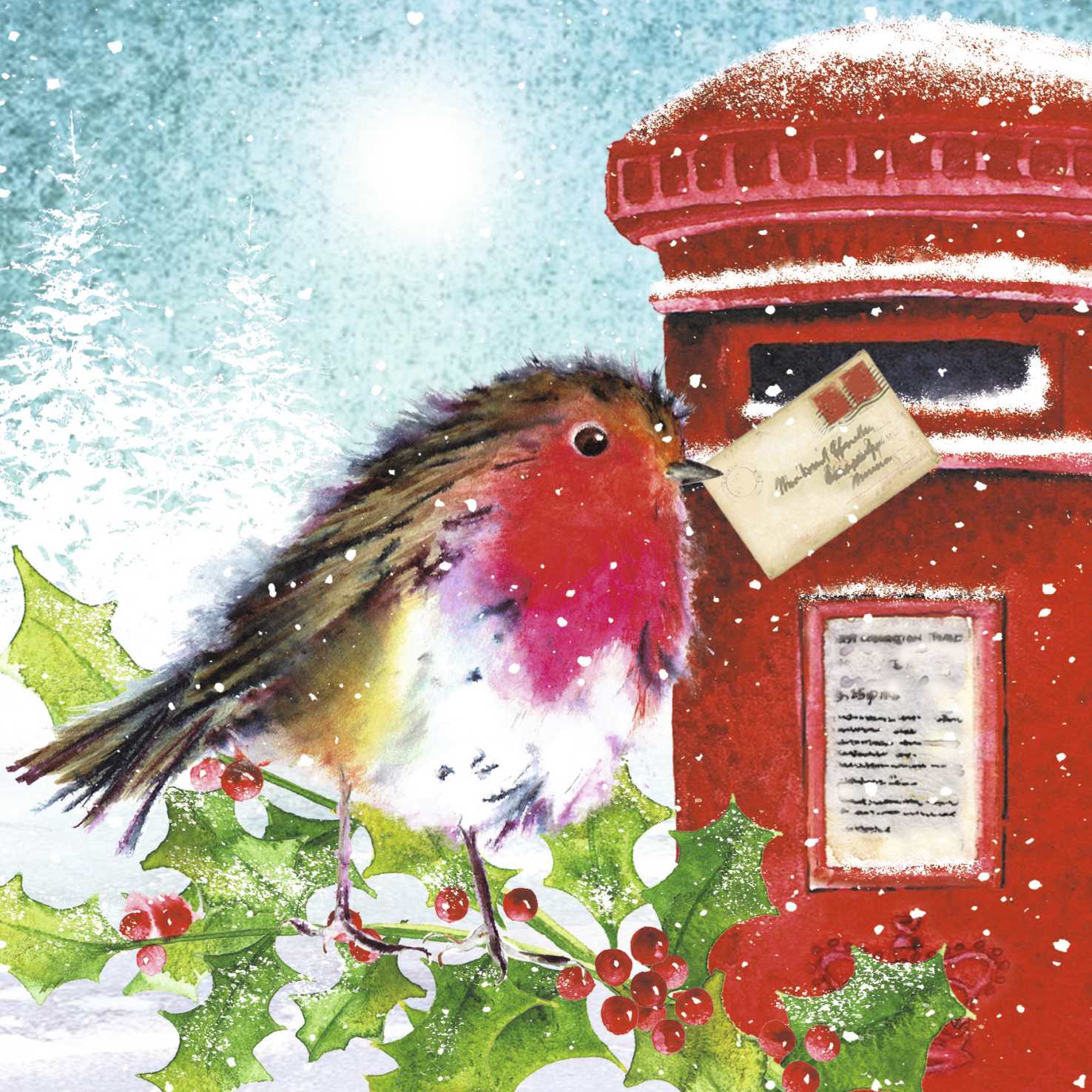 Robin Post Cancer Research UK Charity Christmas Cards Pack of 10 Charity Cards and Gifts