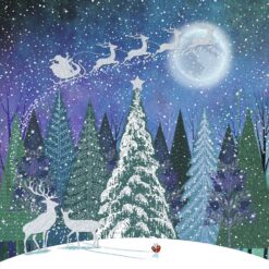 Santa and Sleigh Silhouette - Scope Charity Christmas Cards - Pack of 10