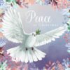 Pastel Peace Dove - NSPCC Charity Christmas Cards - Pack of 10