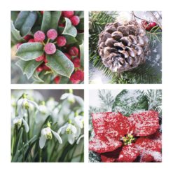 Festive Frosted Foliage - Perennial - Gardeners' Royal Benevolent Society  Charity Christmas Cards - Pack of 10