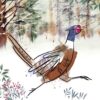 Pheasant on the Run - MS Society Charity Cards - Pack of 10