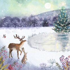 Moon on the Frozen Lake - WaterAid Charity Christmas Cards - Pack of 10
