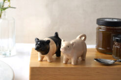 Pig salt and pepper shakers. One is a pink pig, the other is pink and black.