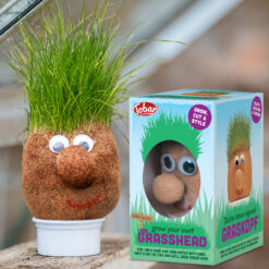 A grass head toy for children. A round brown head with eyes, nose and mouse sits in a white cup with green grass hair growing out the top.