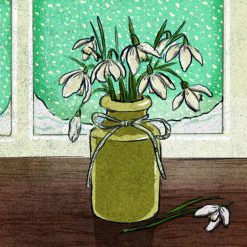 Snowdrops on the Window Sill - Marie Curie Charity Cards - Pack of 10