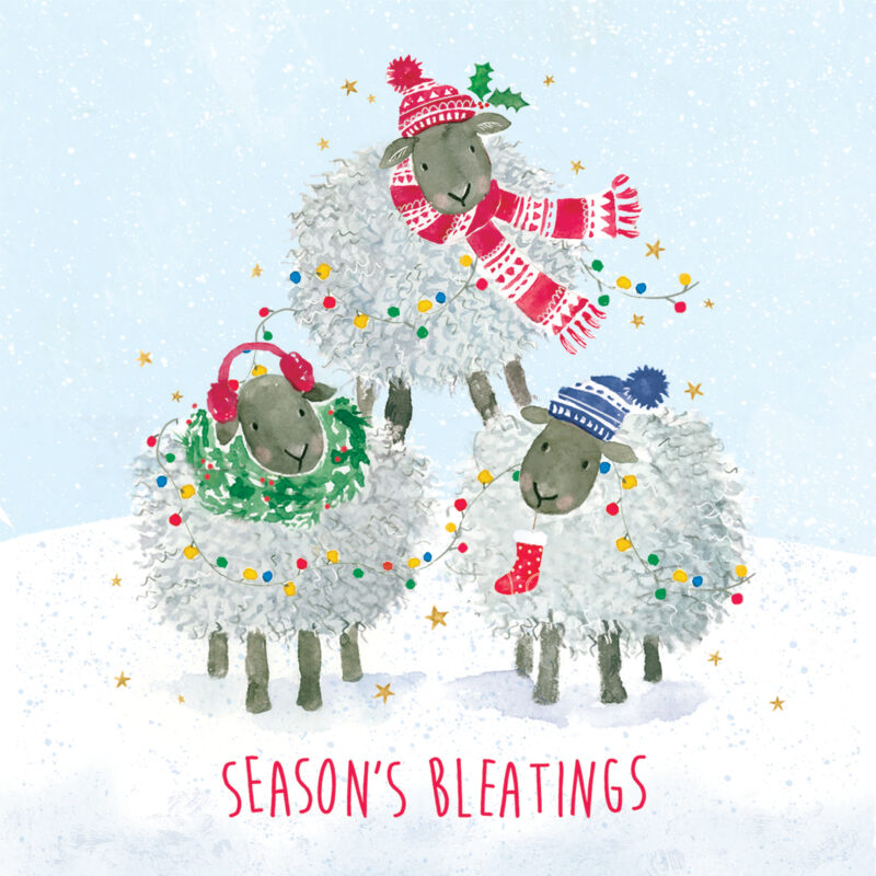 Charity Cards and Gifts