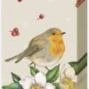 A packet of pocket size tissues with an illustration of a robin red breast perched on some festive flowers.