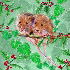 Mice on a Branch - RSPCA Charity Cards - Pack of 10