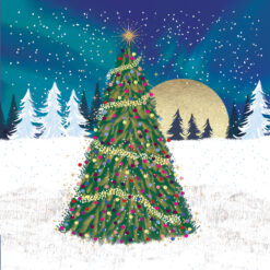 Northern Lights in the Forest - Samaritans Charity Christmas Cards - Pack of 10