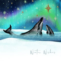 Whales and Northern Lights - World Wildlife Fund Charity Christmas Cards - Pack of 10