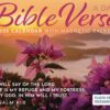 Bible Verse a Day 2025 Calendar