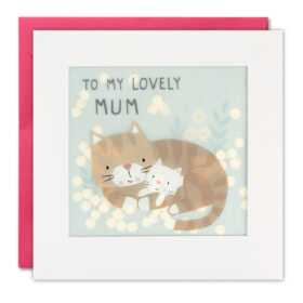 Square card with pink envelope. The card has a clear window on the front which contains white paper circle confetti. The illustration on the card is a cute kitten getting cuddles from its mum. Text on the card reads To my Lovely Mum.