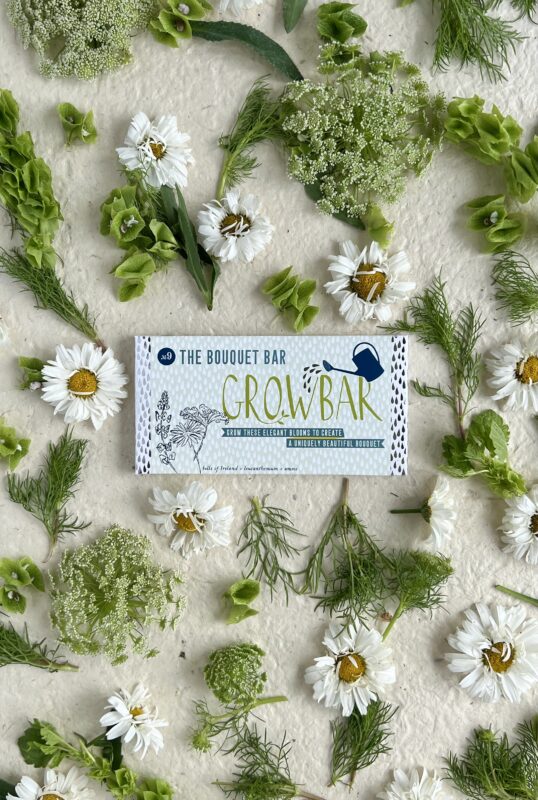 Charity Cards and Gifts