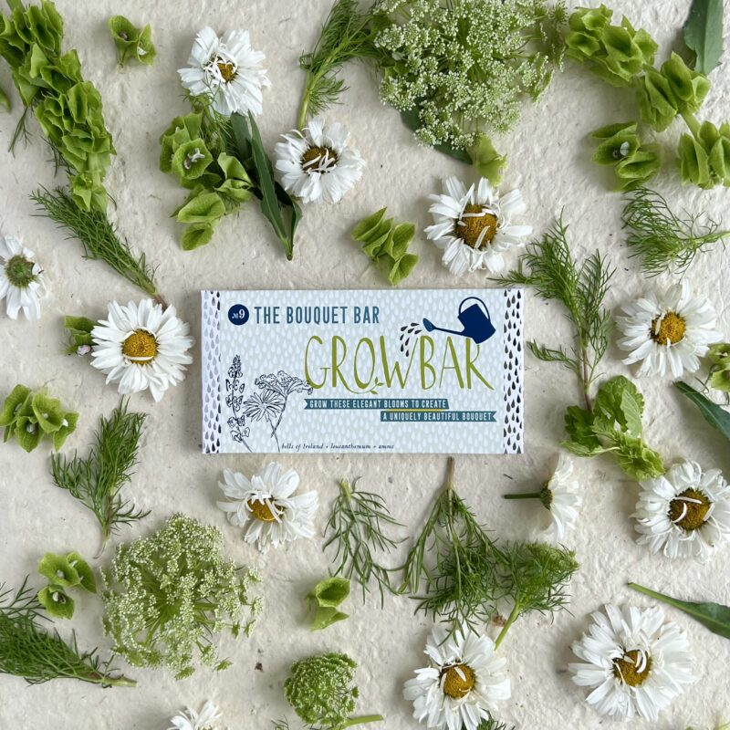 Charity Cards and Gifts