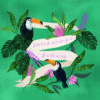 Birthday card with a white wavy banner which bears the text 'Have a wonderful Birthday'. The banner is surrounded by tropical flowers and two toucans.