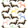 White card covered in illustrations of sausage dogs and colourful dog balloons.