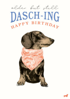 Birthday card with a picture of a daschund wearing a read and white neck scarf. Text above the picture reads 'Older but still Dasch-ing. Happy Birthday'.