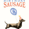 Birthday card with a picture of a daschund wearing a party hat and with a balloon tied to it's paw. Text reads 'happy birthday sausage'.