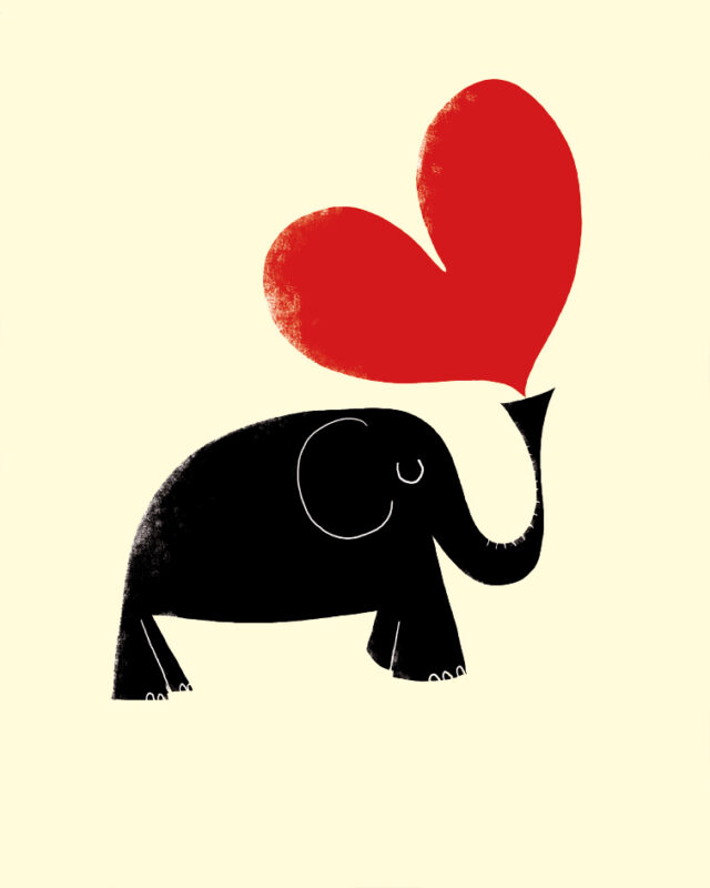 Charity Cards and Gifts
