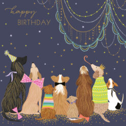 Happy Birthday Dogs Single Card