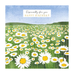 Natural Phenomenon Daisy Field Single Card